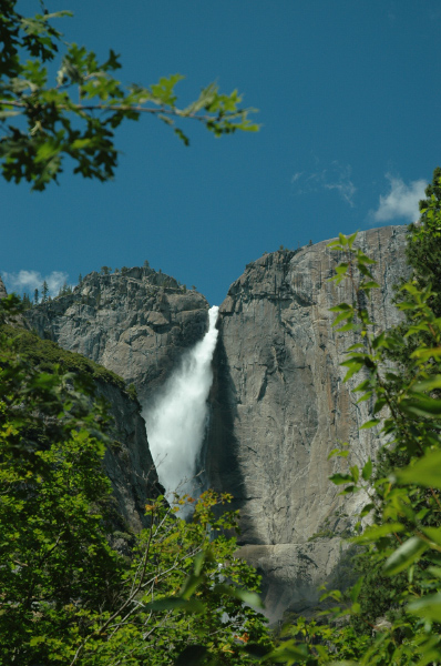 DSC_6220